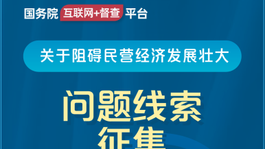 www.女人Bbw国务院“互联网+督查”平台公开征集阻碍民营经济发展壮大问题线索